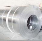 供應(yīng)不銹鋼帶×廣東不銹鋼帶×316不銹鋼帶