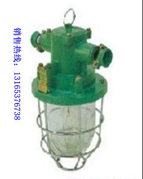 DGS-60隔爆型白熾燈圖片