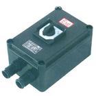 BHZ8030防爆防腐轉(zhuǎn)換開關(guān)圖片