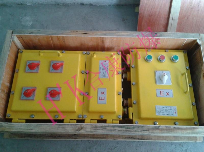 供應(yīng)工業(yè)防爆控制箱 工業(yè)防爆儀表箱 工業(yè)防爆箱訂做