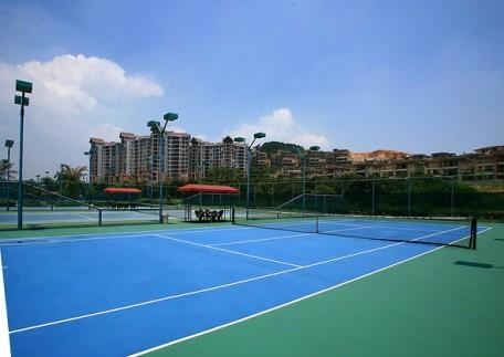 硅pu球場材料圖片/硅pu球場材料樣板圖 (2)