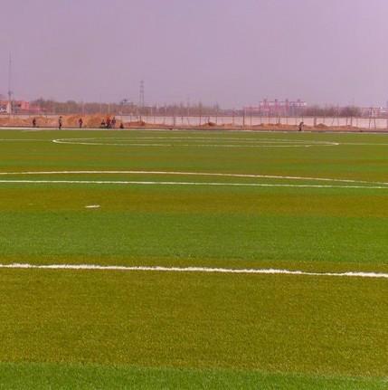 供應(yīng)人造塑料草坪