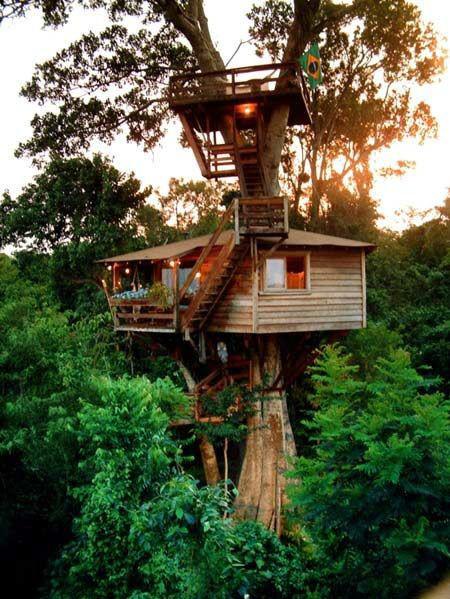 供應(yīng)山西樹屋-山西樹屋價格-山西樹屋價錢