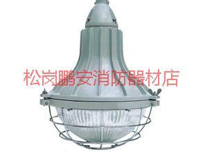 防爆燈圖片/防爆燈樣板圖 (4)