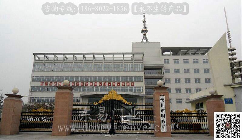碧桂園東易別墅大門DY-1123圖片