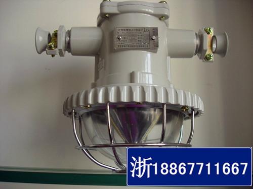 DGS12/127L礦用led巷道燈圖片