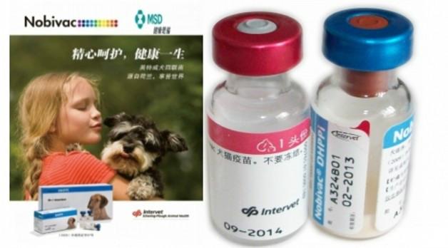 供應犬瘟熱傳染性肝炎細小病毒
