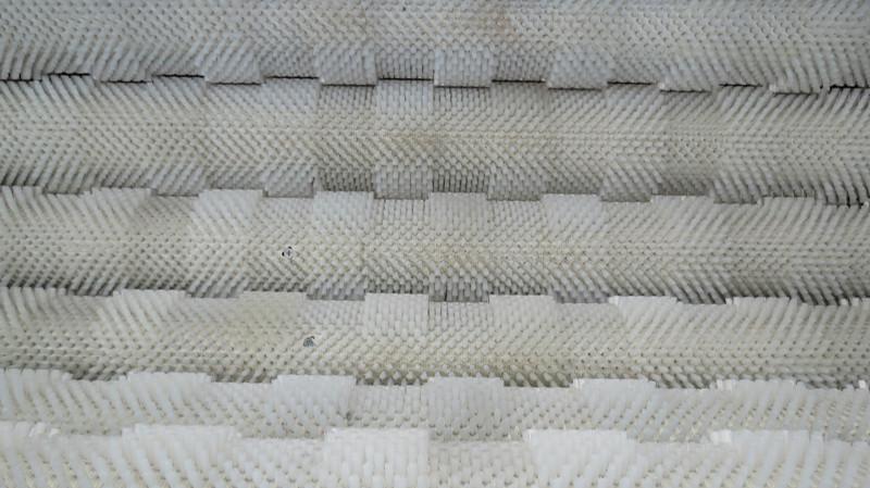 供應(yīng)土豆去皮機、土豆清洗機、小型土豆去皮機、胡蘿卜清洗機