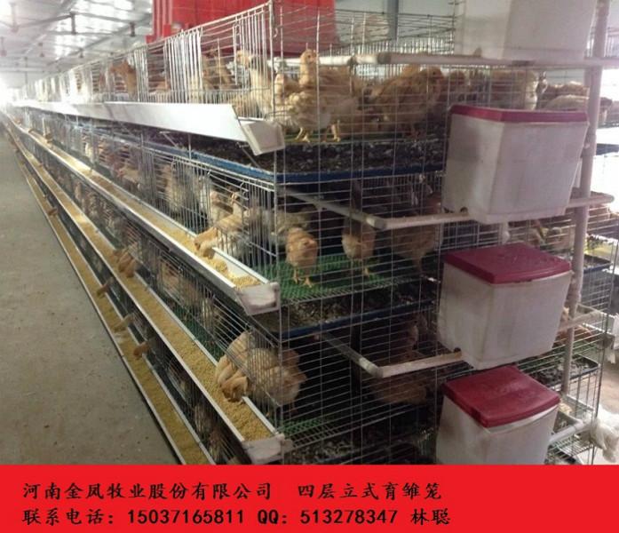 供應(yīng)四層立式育雛雞籠 河南金鳳四層立式育雛雞籠養(yǎng)雞設(shè)備