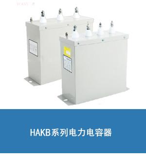 汇之华BSMJ0.45-40-3并联补偿电力电容器 450V 40K图片