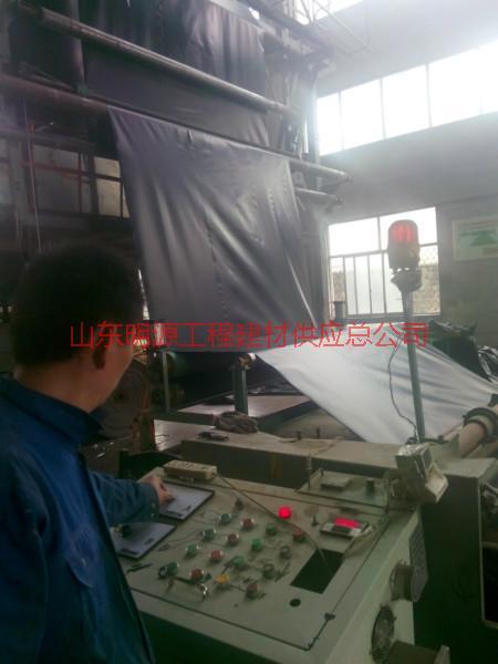 吉林復(fù)合土工膜圖片/吉林復(fù)合土工膜樣板圖 (3)