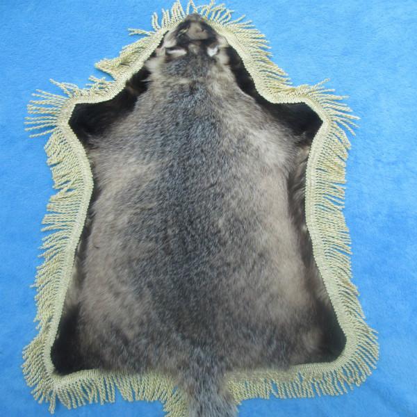 供應(yīng)*子皮*豬*