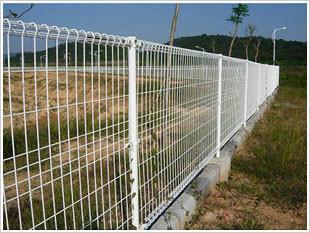 供應(yīng)桃形柱護欄網(wǎng)綠色護欄網(wǎng)圍欄網(wǎng)片綠色護欄網(wǎng)圍欄網(wǎng)片生產(chǎn)供應(yīng)商