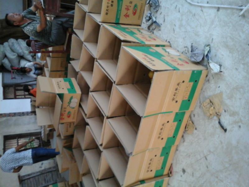 供應(yīng)碭山梨上市