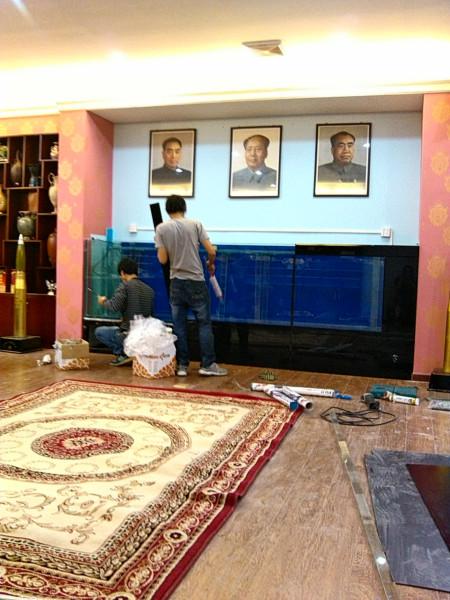 供應(yīng)生態(tài)魚缸的制作，廣州生態(tài)魚缸的制作，廣州生態(tài)魚缸的制作報(bào)價(jià)