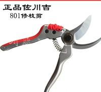臺灣左川吉修枝剪801、臺灣佐川吉整枝剪 、采果剪、臺灣進(jìn)口園林剪