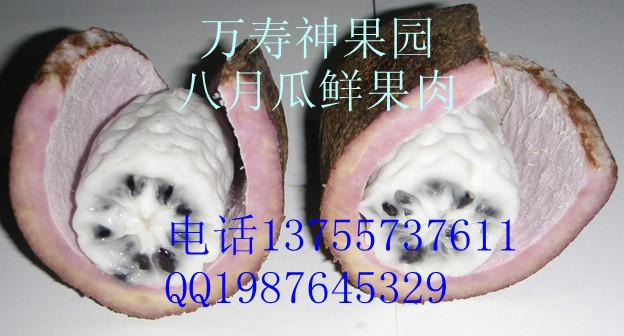 供應(yīng)中華圣果種子 八月瓜種子三葉木通種子批發(fā)八月瓜種植技術(shù)
