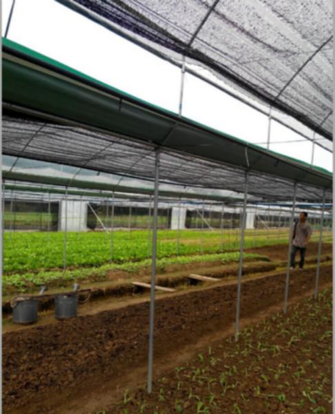 供應(yīng)【開窗型蔬菜大棚】-開窗型連棟溫室大棚-通風(fēng)好開窗型溫室大棚