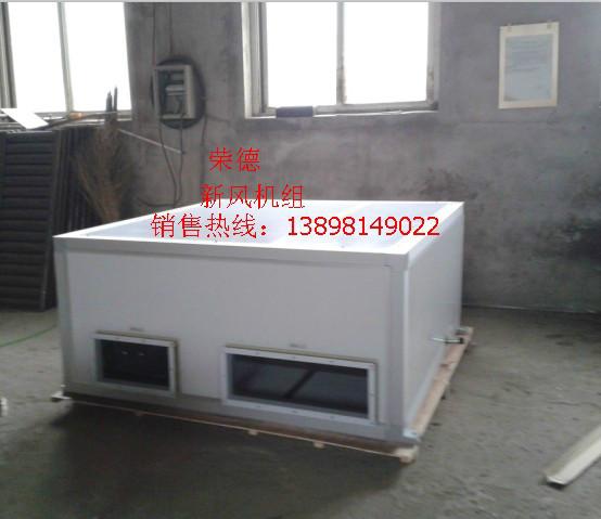 供應(yīng)新風(fēng)機(jī)組RDXF-200新風(fēng)機(jī)組