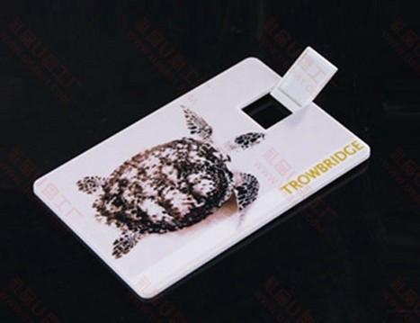 供應(yīng)塑膠卡片u盤 創(chuàng)意U盤品質(zhì)保證