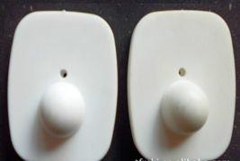 供應防盜扣香港進口