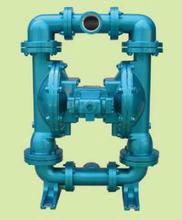 美国Skylink斯凯力气动隔膜泵图片