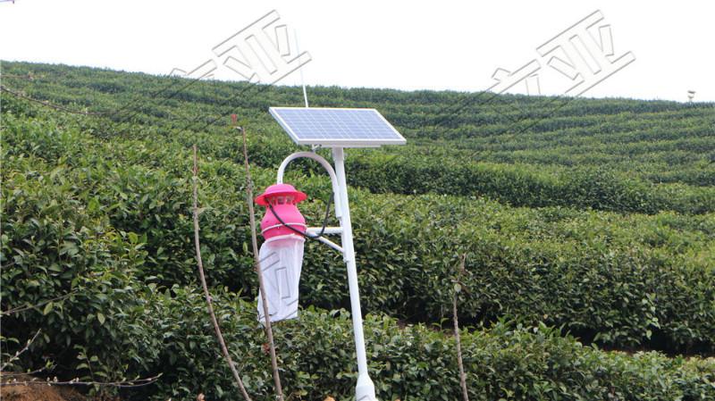 供應殺蟲燈【太陽能殺蟲燈】