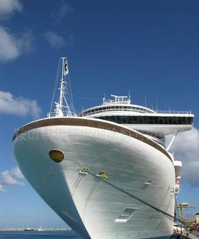 硅酸鋅底漆圖片/硅酸鋅底漆樣板圖 (3)