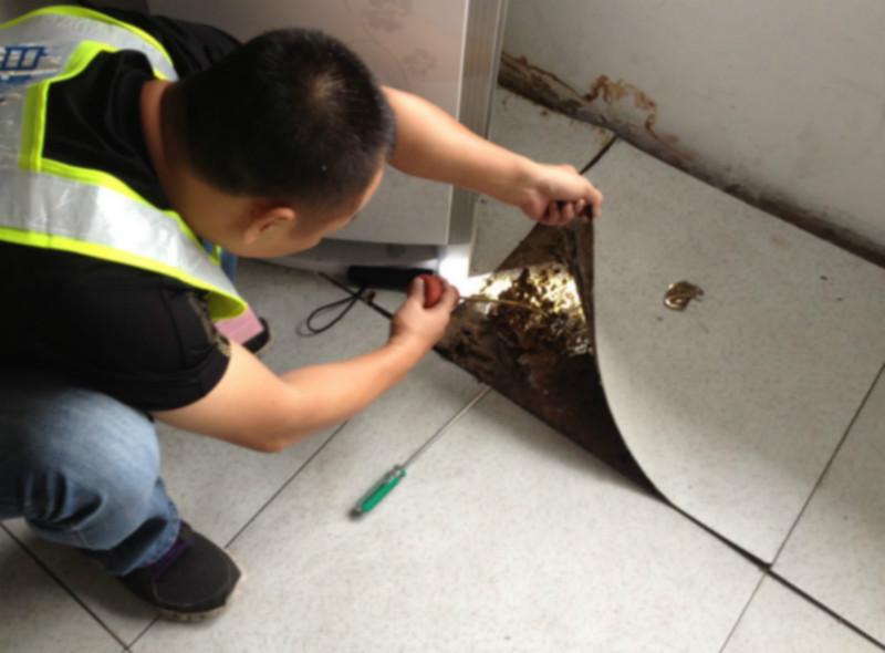 供應(yīng)海珠區(qū)白蟻防治研究所，海珠區(qū)白蟻防治管理中心，海珠區(qū)白蟻防治技術(shù)