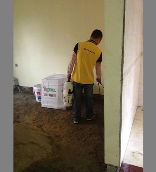 供應(yīng)白蟻/花都白蟻防治公司