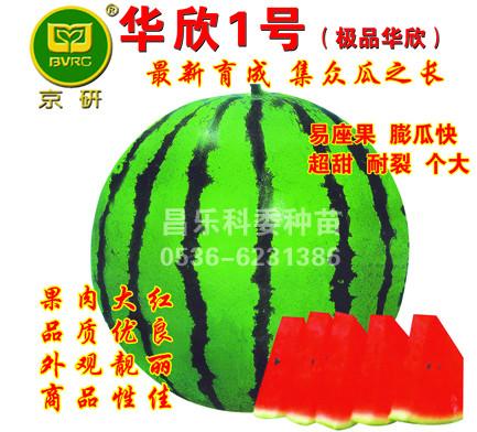 供應(yīng)京研新二號華欣一號華欣二號華欣AAA