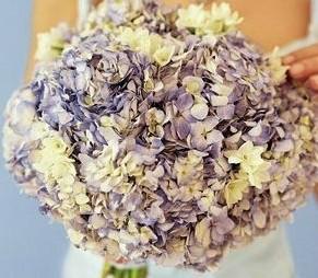 進(jìn)口報(bào)關(guān)公司圖片/進(jìn)口報(bào)關(guān)公司樣板圖 (4)