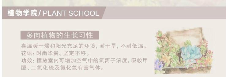 多肉植物上海機(jī)場(chǎng)報(bào)關(guān)代理公司圖片/多肉植物上海機(jī)場(chǎng)報(bào)關(guān)代理公司樣板圖 (2)