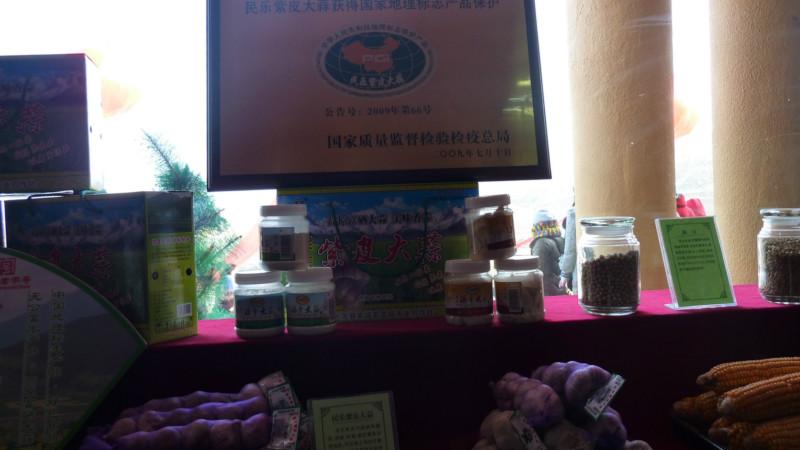 民樂紫皮大蒜圖片/民樂紫皮大蒜樣板圖 (2)