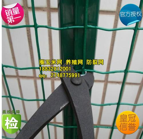 供應圈山網波浪護欄網涂塑焊接網廠家涂塑焊接網廠家批發(fā)