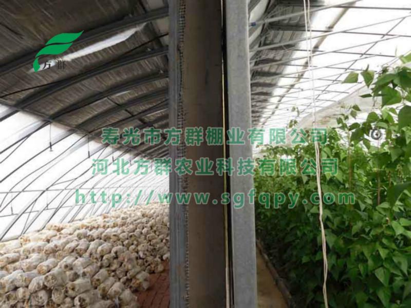 供應(yīng)壽光市方群棚業(yè)-專業(yè)溫室大棚公司