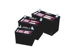 批發(fā)大力神蓄電池12V-100