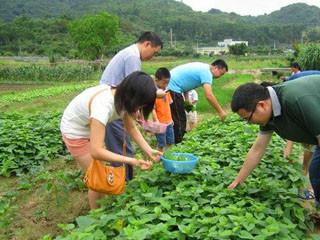 供应农庄休闲娱乐自由活动全天游玩野炊图片