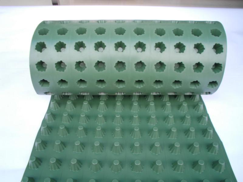 供應(yīng)排水板蓄排水板建筑排水板工程排水