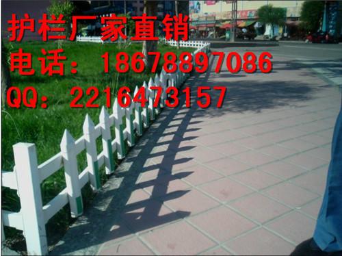 大量供應(yīng)山東省煙臺(tái)市塑料圍欄圖片
