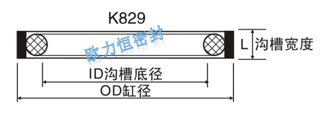 四氟孔用密封非標(biāo)型圖片