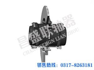 昌盛WGP型鼓形齒式聯(lián)軸器圖片