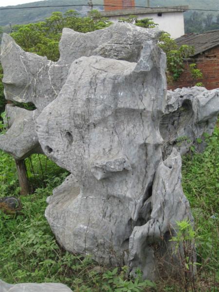太湖石圖片/太湖石樣板圖 (3)