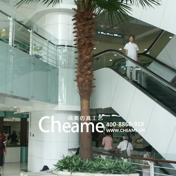 成美仿真棕櫚樹 仿真棕櫚樹生產(chǎn)廠家 仿真棕櫚樹價格