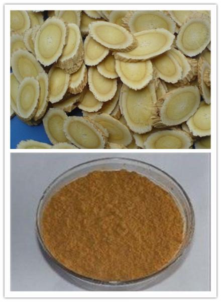 供應(yīng)黃芪提取物