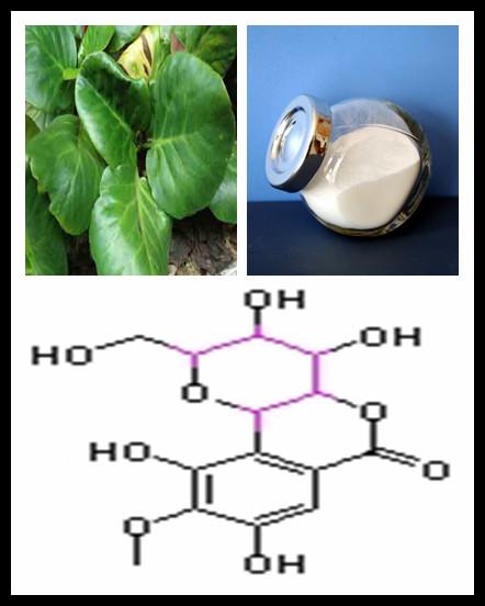 供應(yīng)巖白菜素提取物具有鎮(zhèn)痛、*、催眠及安定作用