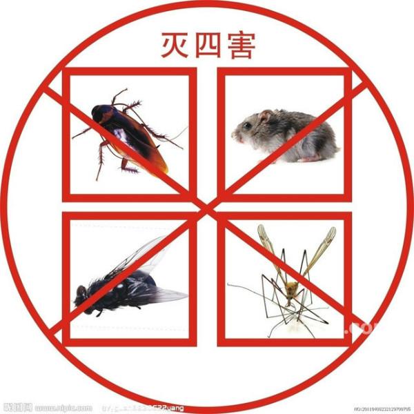 供應(yīng)廣州黃埔集裝箱船泊鐵路車廂殺蟲公交車廂殺蟲滅鼠滅蟑螂除四害滅白蟻