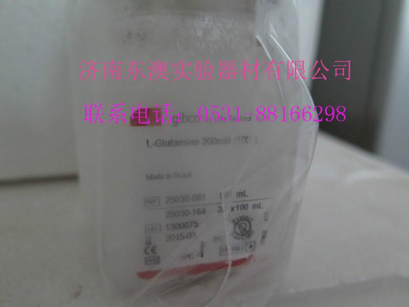 供應(yīng)250301gibcoL-谷氨酰胺