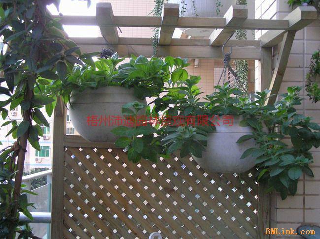 供應(yīng)葡萄架制作與安裝梧州花架免設(shè)計(jì)可上門免費(fèi)估價(jià)與設(shè)計(jì)