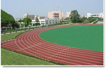 供應(yīng)校園塑膠跑道規(guī)劃建設(shè)